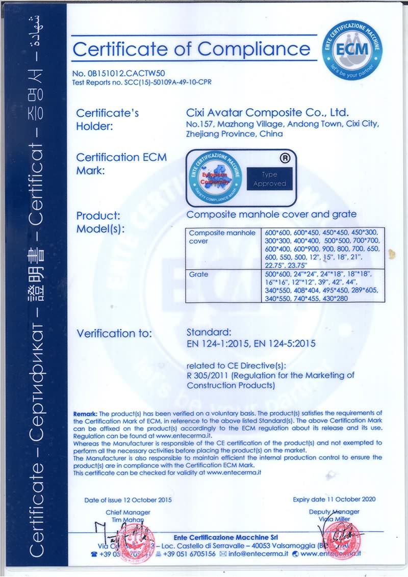 AVATAR CERTIFICATION 1